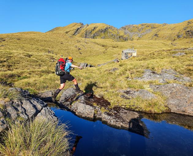 Jo Monks on alpine lizard fieldwork in the Haast Range. PHOTO: MARIEKE LETTINK