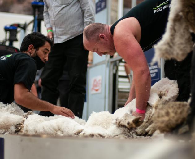 Open woolhandling title winner Joel Henare, of Gisborne, and Invercargill shearer Troy Pyper during the open shearing final at the NZ Merino Shears. PHOTOS: SHANNON THOMSON