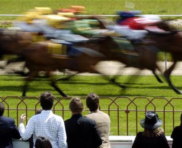 A scene from last year's Melbourne Cup. Photo from ODT files.