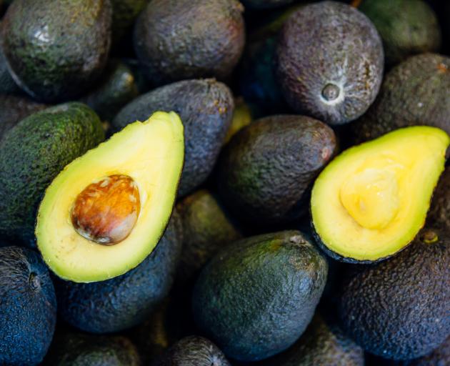 Current cheap prices for avocados are unrealistic according to industry experts. Photo: Getty...