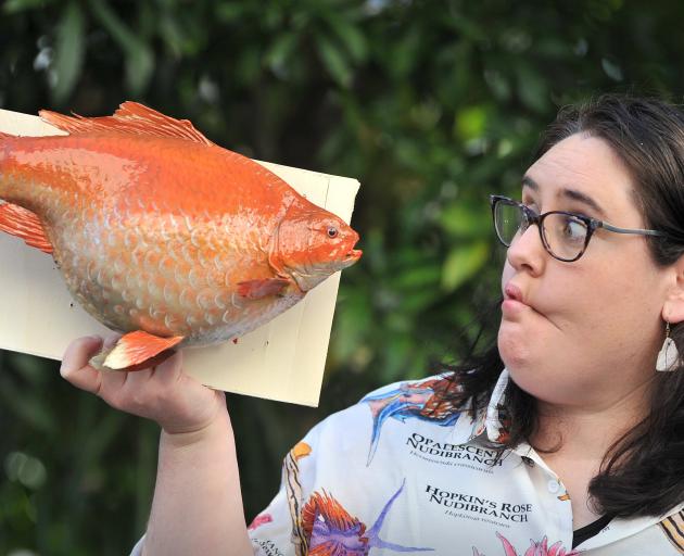 Otago Museum natural science curator Emma Burns with Wanda, the goldfish which went wild and grew...