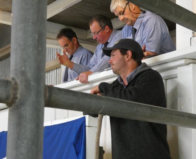 Stern Angus co-owner Rob Fraser likes what he sees at the stud’s on-farm yearling sale. PHOTO:...