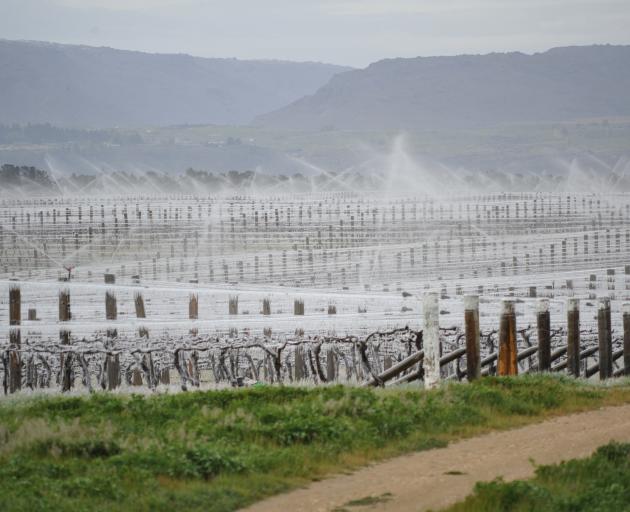 Frost-fighting at Alexandra winery McArthur Ridge.