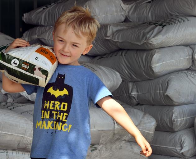 Charlie Hughes (5) lifts a sack of sheep pellets at Wal’s Plant Land, in Mosgiel, yesterday...