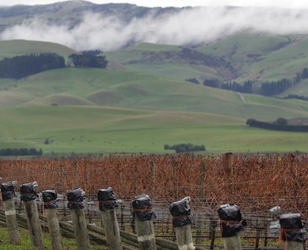 The Waipara wine region, north of Christchurch.PHOTO: GETTY IMAGES

