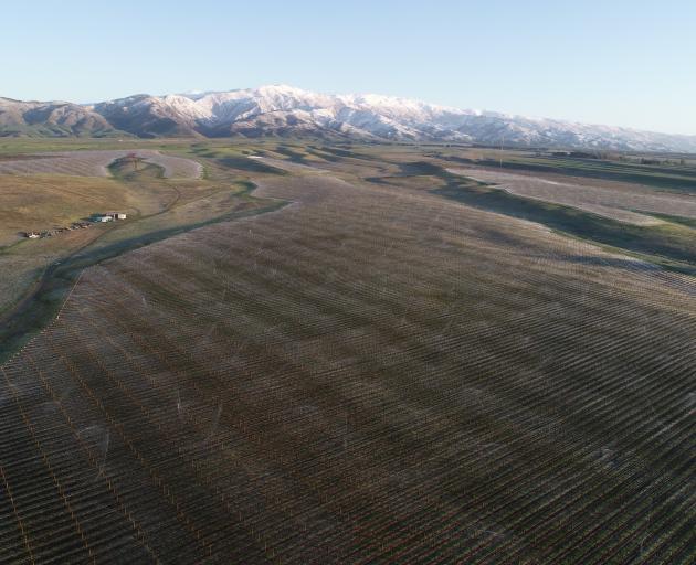 McArthur Ridge winey from the air. PHOTO: SUPPLIED