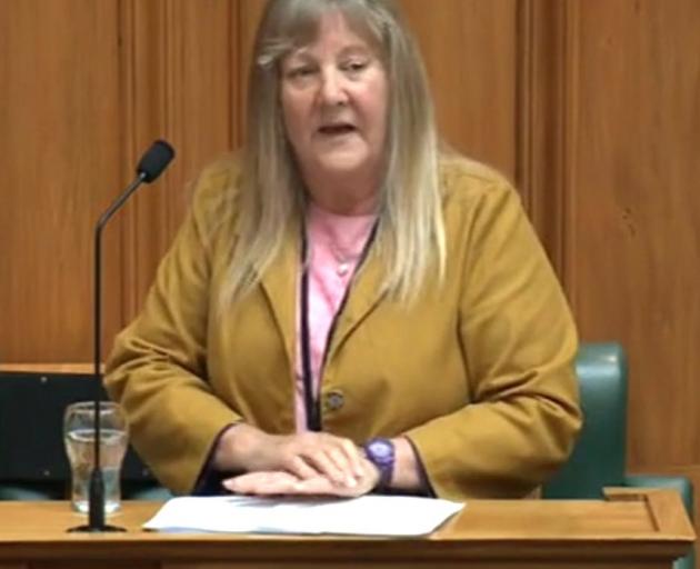 Invercargill MP Penny Simmonds speaks in Parliament this week, and at a hearing in Dunedin two...
