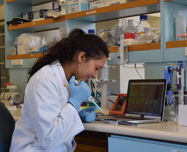 .University of Otago student Anna Clark loads a portable DNA sequencer with ship rat DNA in...