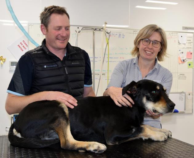 Clutha Vets co-managers Hamish Moore and Annie Jackson want to hire experienced vets to work in South Otago but have had no response. PHOTO: SHAWN MCAVINUE