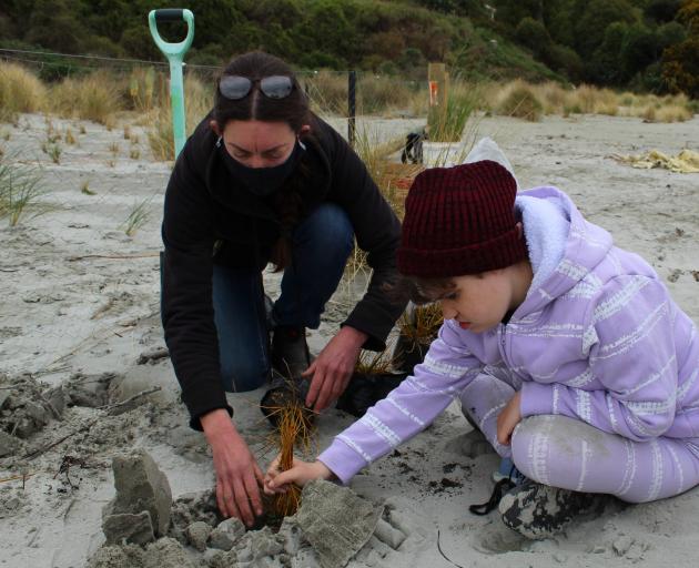 Okahau dune project organiser Angelina Young helps Warrington School pupil Skyla Bussell (14)...