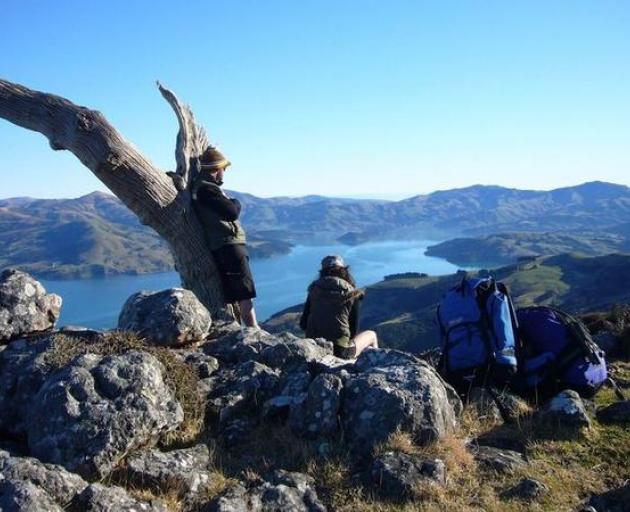 Trisha Hewlett from the Banks Peninsula walk said Aucklanders were the backbone of their business...