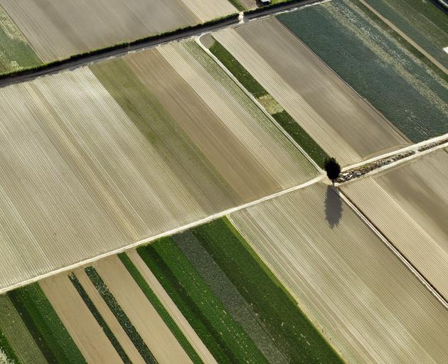 An aerial view of Graeme Young's market garden near Outram. Photo: Stephen Jaquiery