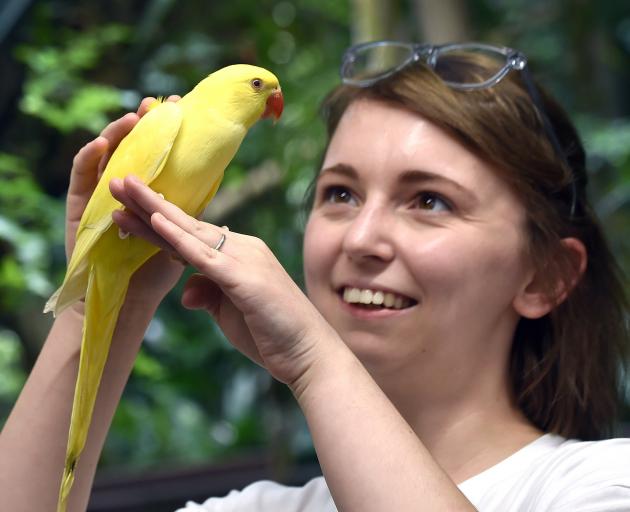 Otago Museum science engagement co-ordinator Sophie Sparrow gets acquainted with one of the...
