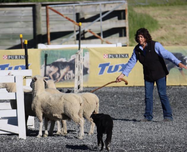 Warepa Collie Club member Jan Tairua and Jock, who were second in the Southland Tux New Zealand...