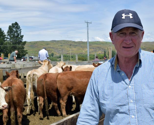 Central Park owner John O’Brien was pleased with his inaugural store cattle sale in Lauder.