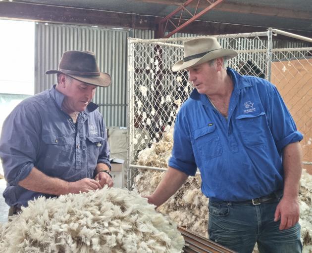 Wairua Merino stud owners Russell Smillie (left) and Steve Kerr inspect a fleece during shearing....