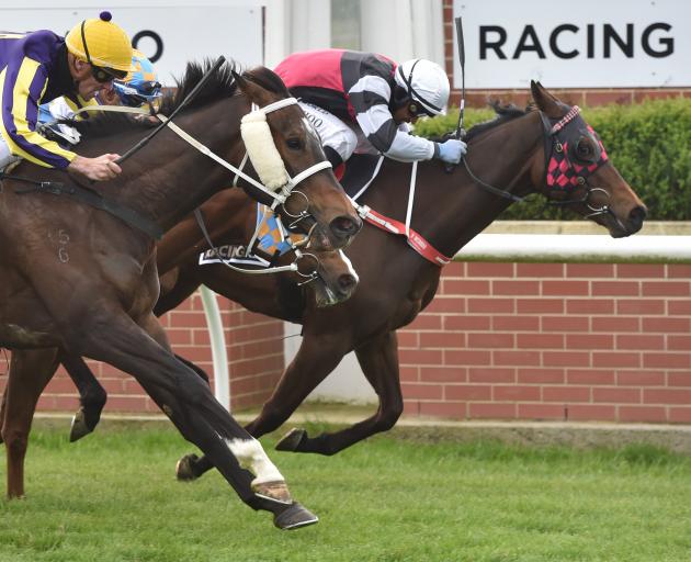 He’s Got Power (inner) wins the main race at Wingatui yesterday. PHOTO: GREGOR RICHARDSON
