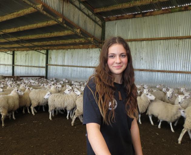 Teenager Charis Morrell won the senior title at the New Zealand Corriedale woolhandling...