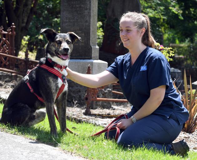Gemma Mitchell gives her dog Bailey a well-deserved pat after he led her to an unconscious man...