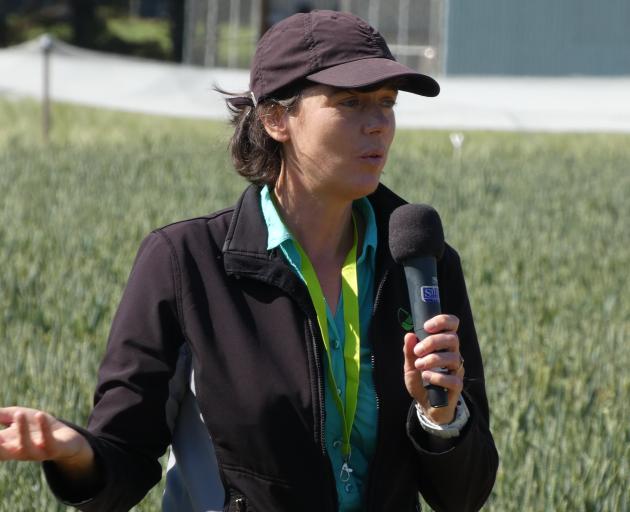 Plant and Food Research’s Mel Davidson talks at the Foundation of Arable Research’s field day...