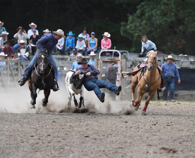 A cowboy brings down a calf during the Waikouaiti Rodeo in 2017. The rodeo is among several...