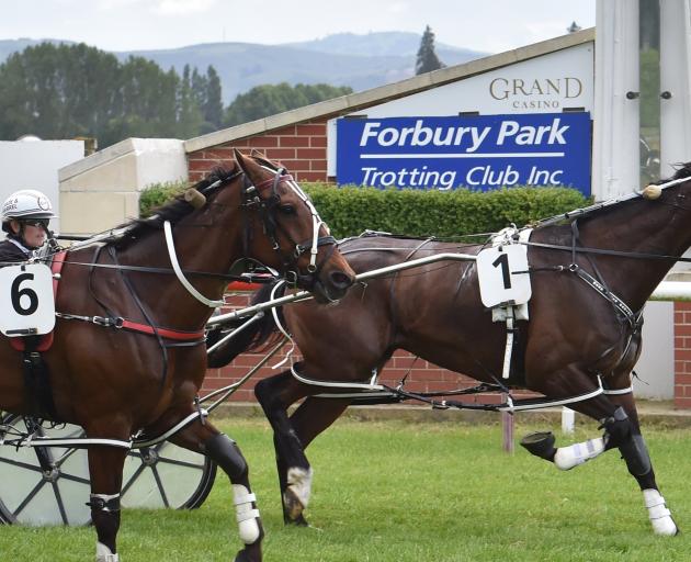 Samantha Ottley guides the Mark Jones-trained Artatac to victory over A Bettor Act in the Grass...