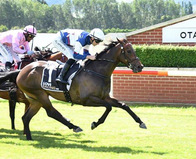 Hasabro beats King Cougar home to win the Hazlett Stakes at Wingatui yesterday. PHOTO: TAYLER...