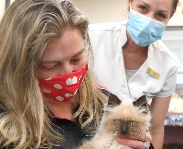 Port Chalmers Pharmacy customer Anna Hudson cuddles Kevin the kitten while pharmacy owner Angela...