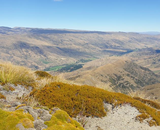 Views of Cardrona Valley, above, and Wanaka.