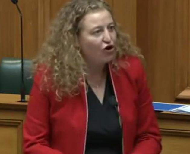 Labour list MP Rachel Brooking, of Dunedin, speaks during the second reading of the Resource...