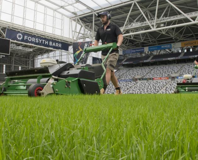 Forsyth Barr Stadium turf manager Michael Watson (left) and assistant Blake Haines make the first...