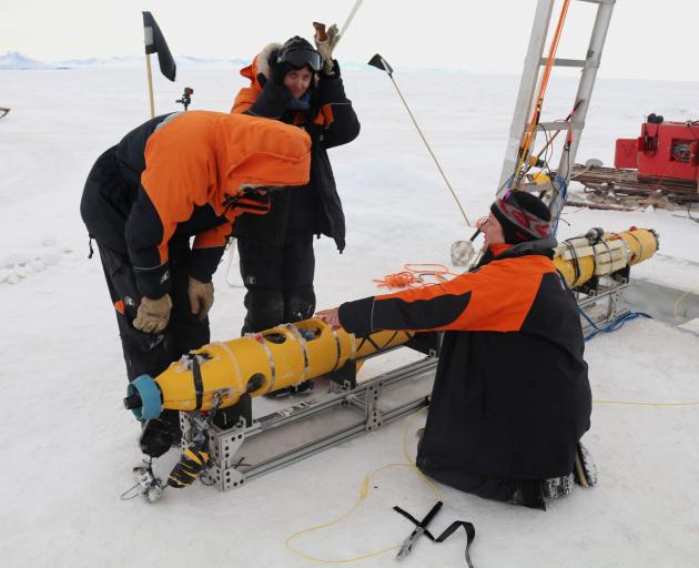 Inspecting frazil that has formed on Icefin during research of the supercooled water under the...