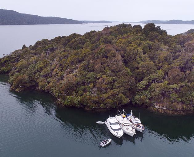 Boats are rafted up in Big Glory Bay in Stewart Island during the Christmas holidays. PHOTO:...