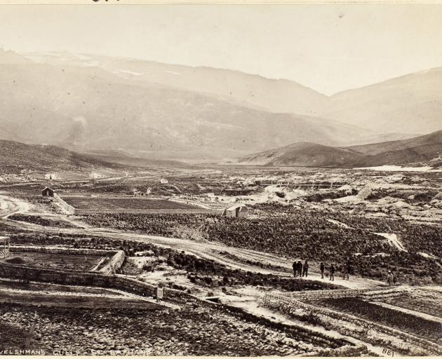 Welshman's Gully, 1880-90s, Otago, by Burton Brothers studio. Te Papa (O.026325).