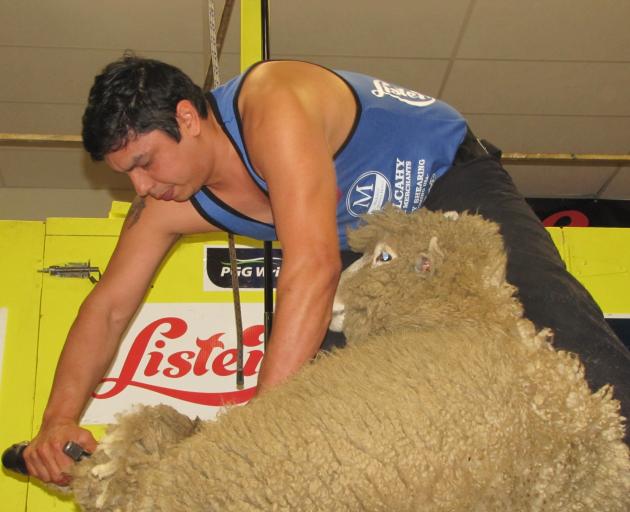 Luis Pincol competes at the Waimate Shears in 2019. PHOTO: DOUG BOOTH