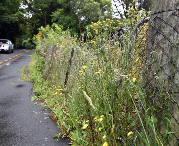 The Mornington end of Maori Rd, Dunedin, is to close from next week until mid-April while a...