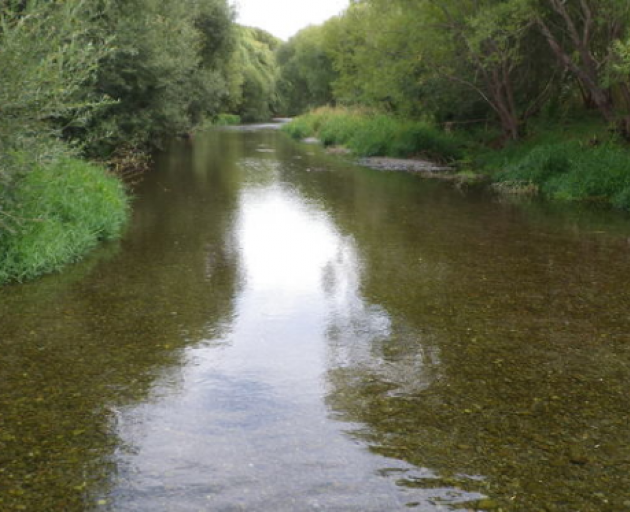 Selwyn River. Photo: Supplied via RNZ