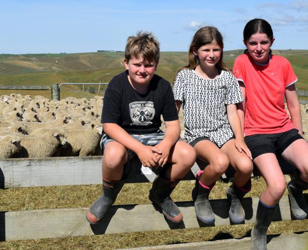 Jack Young (10), of Mosgiel, and his cousins, sisters Fliss (12) and Sophie (14) Nichol, both of...