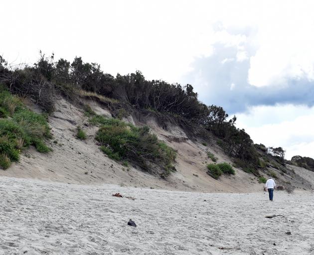  Sand dunes at St Clair beach looking towards St Kilda Beach. PHOTO PETER MCINTOSH