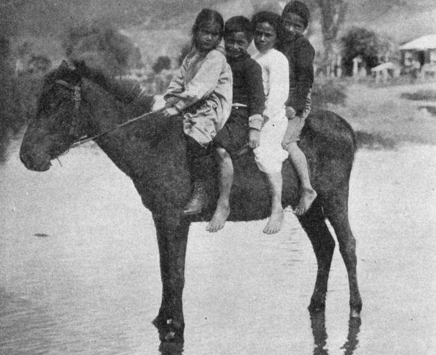Maori children on their way to school, North Auckland. — Otago Witness, 3.1.1922. 