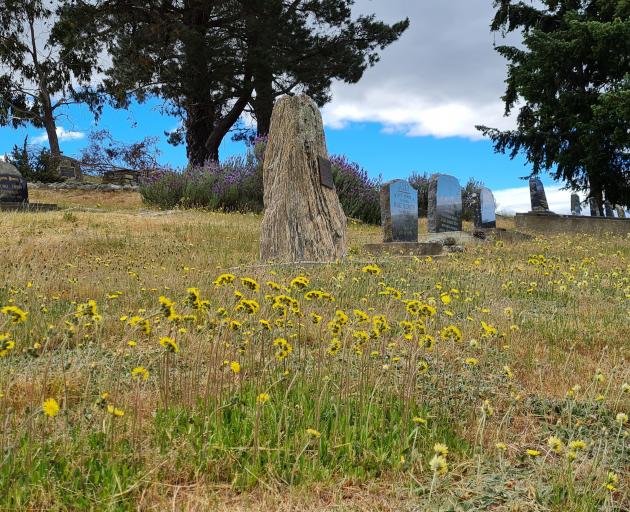 Tarras Cemetery, on Cemetery Rd, about 2km north of Tarras at the start of the Ardgour Valley.