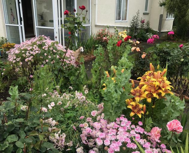 The front garden, at left, is packed with an array of flowers.