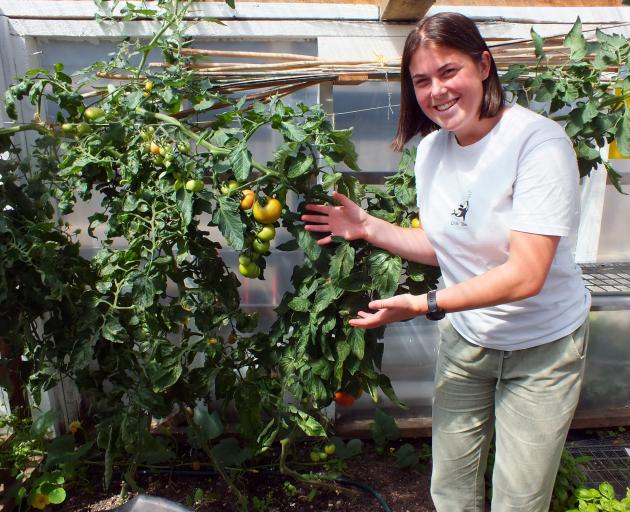 Nutrition student Tessa Honeybone shows off some of the tomatoes in the greenhouse. PHOTOS:...