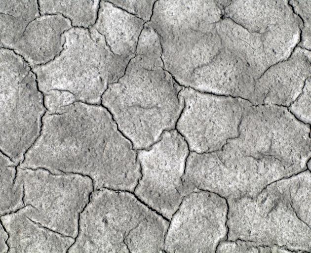 The dry lake in February, when the muddy bottom forms mosaics of cracks.