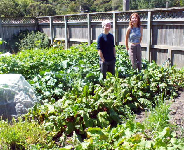 Garden co-ordinator Danielle Lomas (left) and third-year student Eva Templeton in Te Mahinga Kai.
