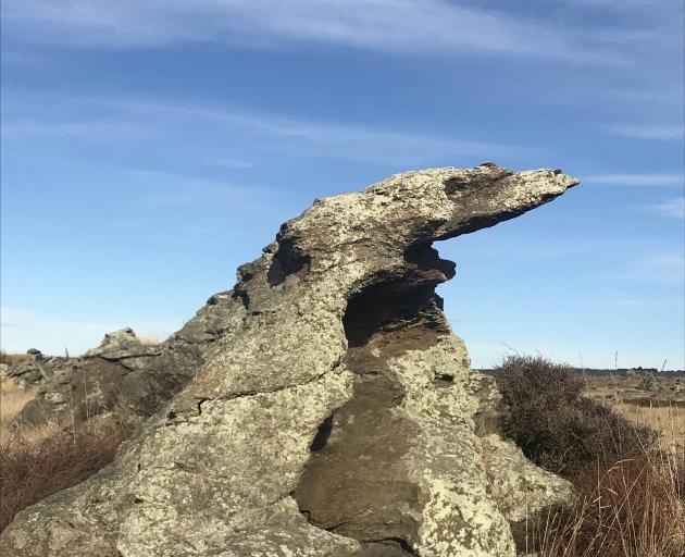 A schist rock resembling a mythical beast.