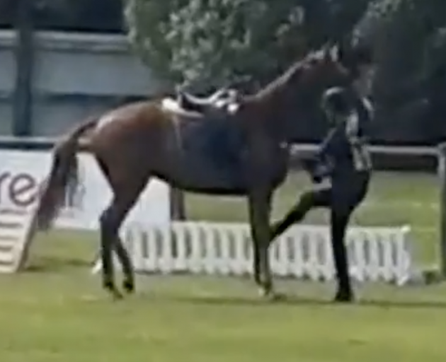 A still from the video shows the rider kicking the horse. Image: Supplied 