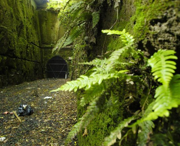 The former Caversham railway tunnel. PHOTO: GERARD O’BRIEN