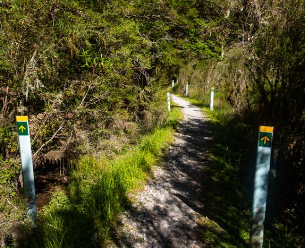 A staff member of a guided-walking business on the Milford Track has tested positive for Covid-19...