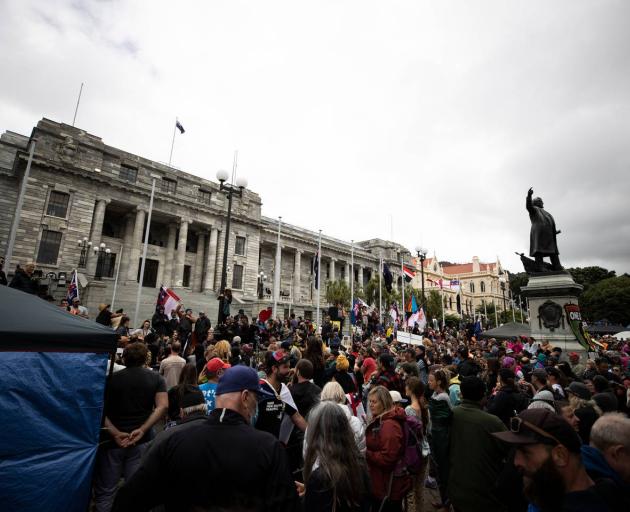 Steph Lewis said protesters have intimidated MPs and staff. Photo / George Heard Steph Lewis said protesters have intimidated MPs and staff. Photo / George Heard